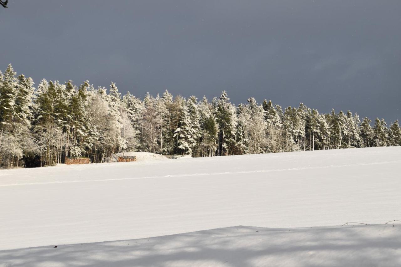Villa Rosa Pfreimd Eksteriør bilde